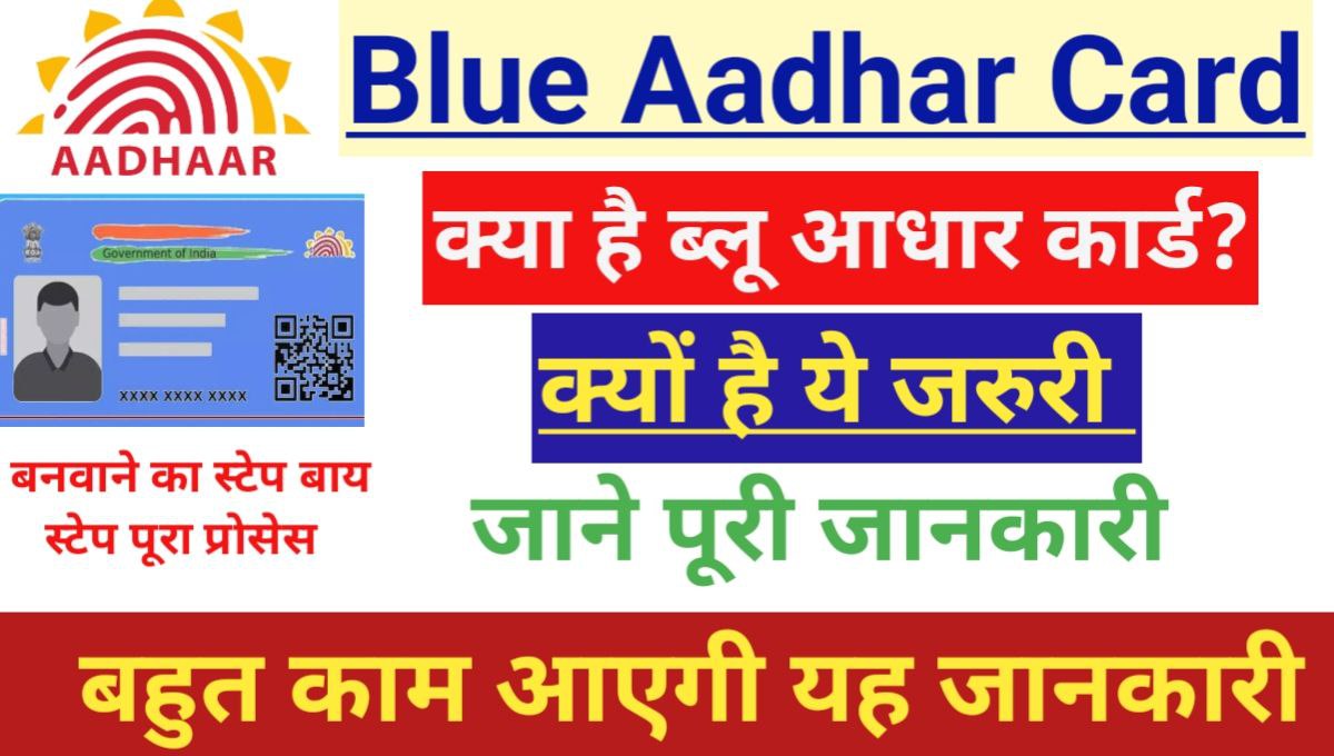 Blue Aadhar Card Info